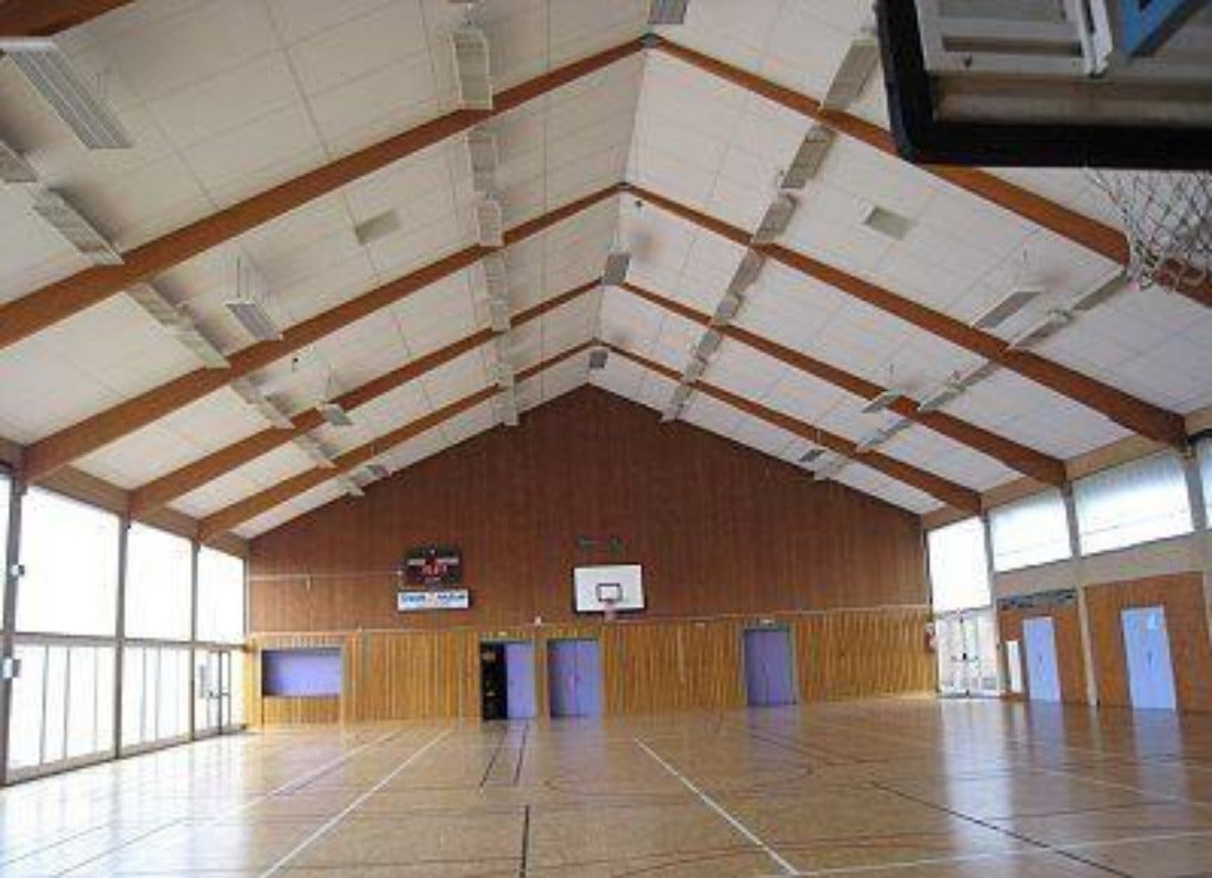 Anendung Sporthalle Fenix Dunkelstrahler S+